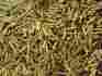 500-qty N A B Lot Conn Connectors Pin Gold