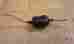 Pg-3x Kenwood Dc Line Noise Reducer