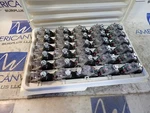 New Tii Sealed Station AD-02W-FS 899A 15-09-5 Signal Circuit Protector. Fixed Price $19.99.