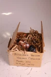 Vtg Jennings Type ATC-35 Variable Vacuum Tube Capacitor. Fixed Price $125.99.