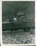 1945 Tin Cans Salvage Yard Naval Supply Depot Seattle Vintage Press Photo 8X10. Fixed Price $19.99.